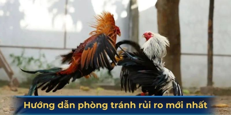 Hướng dẫn cách phòng tránh rủi ro mới nhất
