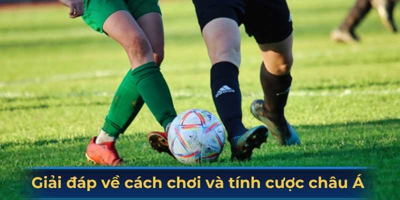Giải đáp thắc mắc về cách chơi và tính cược châu Á